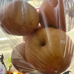 梨　お得　自家用品の画像