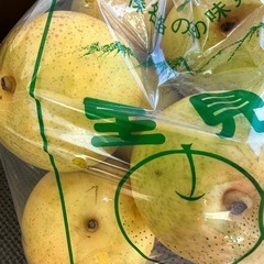 梨　お得　自家用品