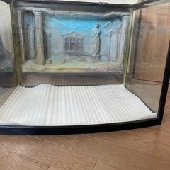 （※追加写真あり）水槽です。爬虫類、リクガメ、ヒョウモントカゲモ...