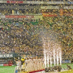 福岡ソフトバンクホークスVS千葉ロッテ今シーズン最後✨️試合終了後セレモニー✨️Ｓ席指定8列目の画像