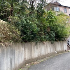 交通誘導をお願いしたいです