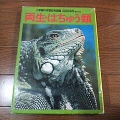 2冊セット小学館学習百科図鑑両生・はちゅう類植物の観察と育て方の画像