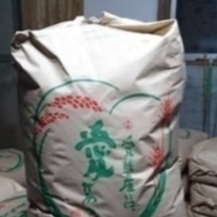 ④令和6年度 愛媛県産ヒノヒカリ (玄米･30kg)