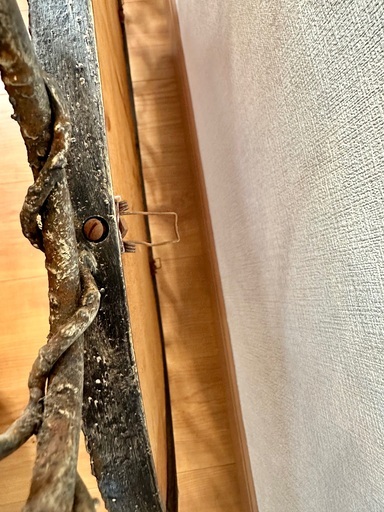 フランス アンティーク ミラー アイアン 壁掛け鏡