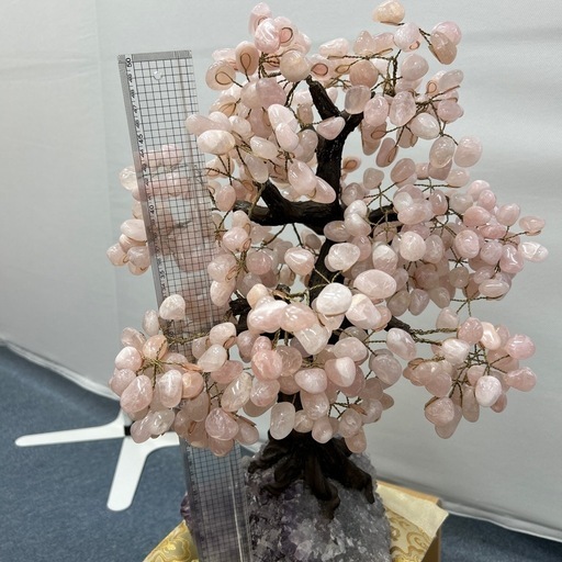 金のなる木　ローズクォーツ　土台アメジスト
