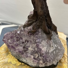 金のなる木 ローズクォーツ 土台アメジスト
