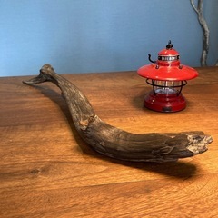 2 カマス風〜な鋭い　流木…天然物、インテリア、 オブジェの画像