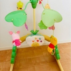 プーメリーの中古が安い！激安で譲ります・無料であげます(15