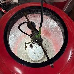  特大 提灯型 電飾看板 高さ約100cm×直径約60 提灯 飲食店  居酒屋 看板の画像