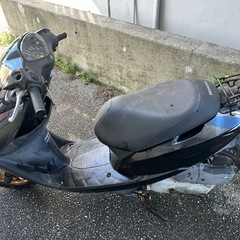 DIO  AF62の画像