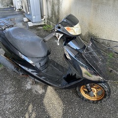 DIO  AF62の画像