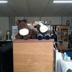 各種ぬいぐるみ