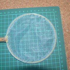 見てから決めてください  手作りたま網 選別網 １２．７Cm（ソフトタイプ  ）金魚  メダカ    グッピーなどにの画像