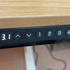 【美品】FlexiSpot E9-E9WMの画像