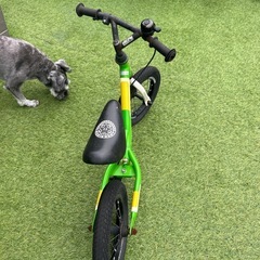[お話し中]Nintendo  ヨッシー　自転車の画像