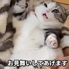 【再投稿】外に連れ出してくださる方、募集〜