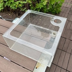 アクリルオーバーフロー水槽の画像