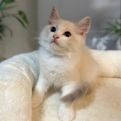 ご家族決まりました🙇