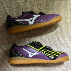 【MIZUNO】体育館シューズ21cmの画像