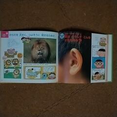 なぜなぜクイズ絵本　12冊セットの画像