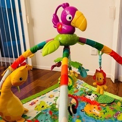 フィッシャープライス レインフォレスト デラックスジムの画像
