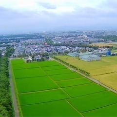 Holystone HS700E上位モデル  の画像