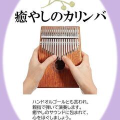 わくわく音活講座  癒やしのカリンバ　生徒募集の画像