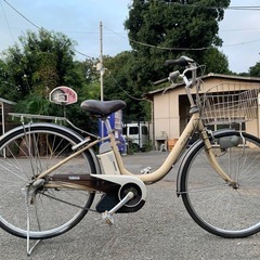 ワンピースしらほし姫