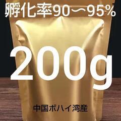 【コスパ最強】●ブラインシュリンプエッグ　孵化率90〜95%　ボ...