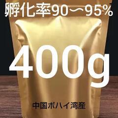 【コスパ最強】●ブラインシュリンプエッグ　孵化率90〜95%　ボ...