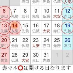 人吉のメダカ屋さん  メダカ  めだか