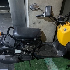 （締切
）ホンダ　ズーマーの画像