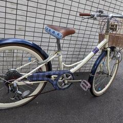 子供用自転車 22インチ