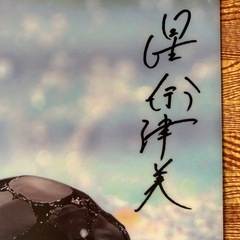 星奈津美　記念クリアファイル　２枚の画像