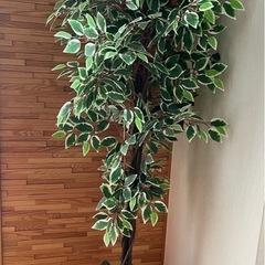 人工観葉植物