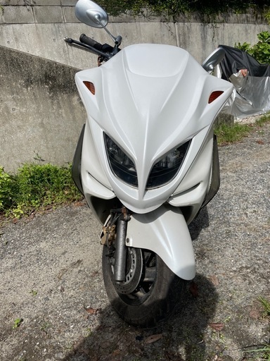 ご成約❗️自賠責保険令和9年6月まで❗️車との交換も可❗️バッテリー新品❗️マジェスティ　250 自賠責長い！