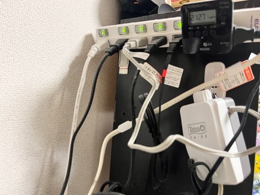 カラーシュリンプ　水槽ごと