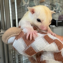 ベビー誕生です❤️