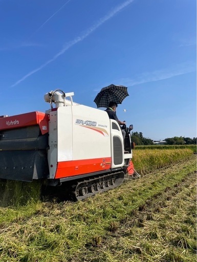 売約済27令和6年度産 『コシヒカリ』 玄米 30kg