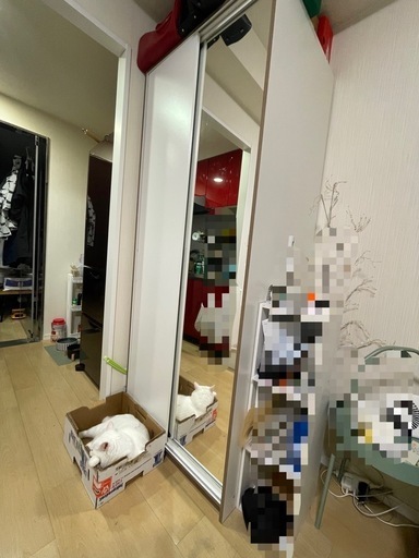 鏡付きワードローブ