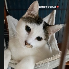 優しいサツキママ - 青梅市