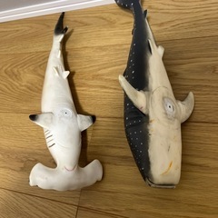 サメ2匹の画像