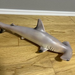 サメ2匹の画像