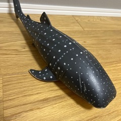 サメ2匹の画像