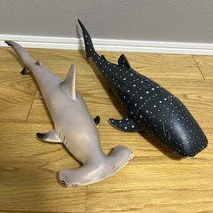 サメ2匹
