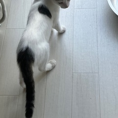 元気なアオ君 − 東京都