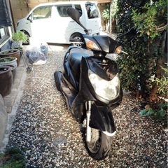 シグナスXSE42J