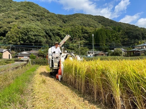 令和6年度 棚田米 八代市東陽町産 ヒノヒカリ 30kg
