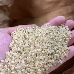 令和6年度棚田米八代市東陽町産ヒノヒカリ30kg (まつだ) 有佐の