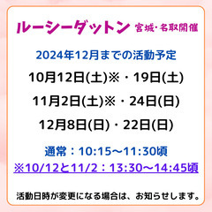 ルーシーダットン 【10月12日(土)】 ☆ 宮城県名取市の画像